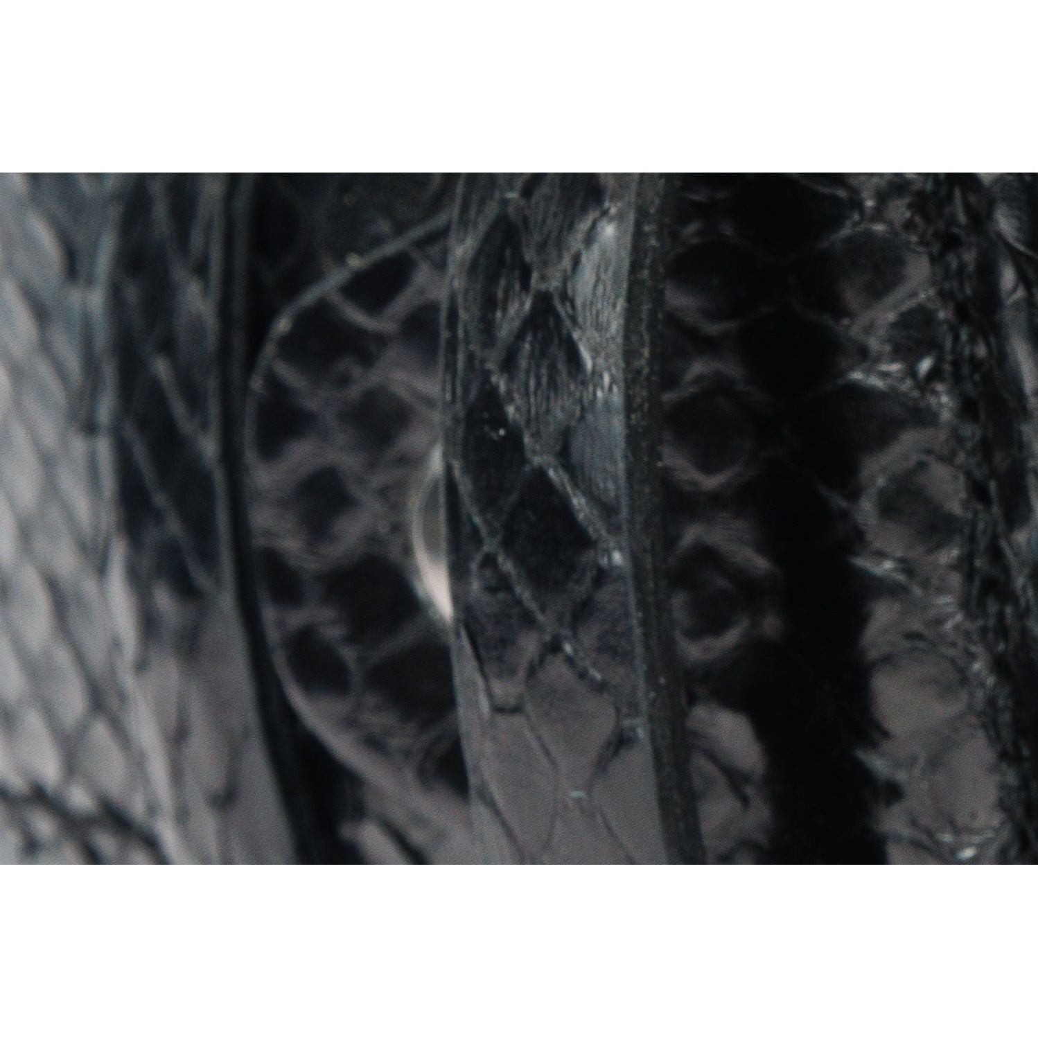 The Boss Black Snake Leather Belt