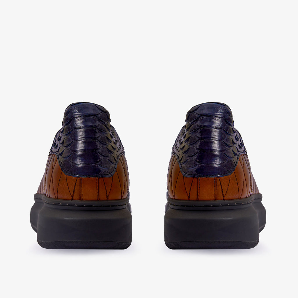 The Adler Snake Skin Tan & Navy Men Sneaker