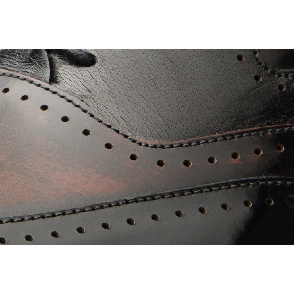 The Dicle Black/Burgundy Wingtip Semi Brogue Derby Men Shoe