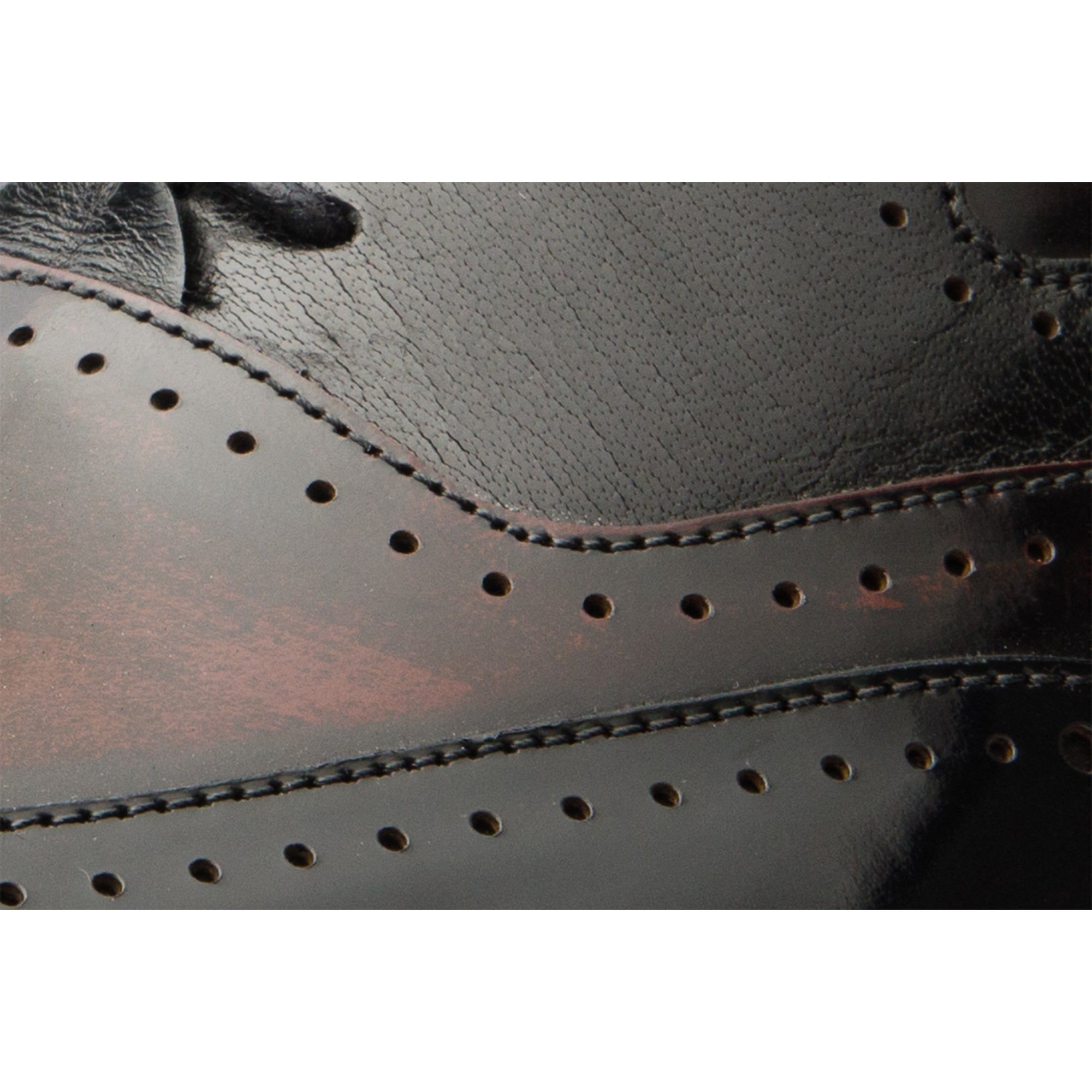 The Dicle Black/Burgundy Wingtip Semi Brogue Derby Men Shoe