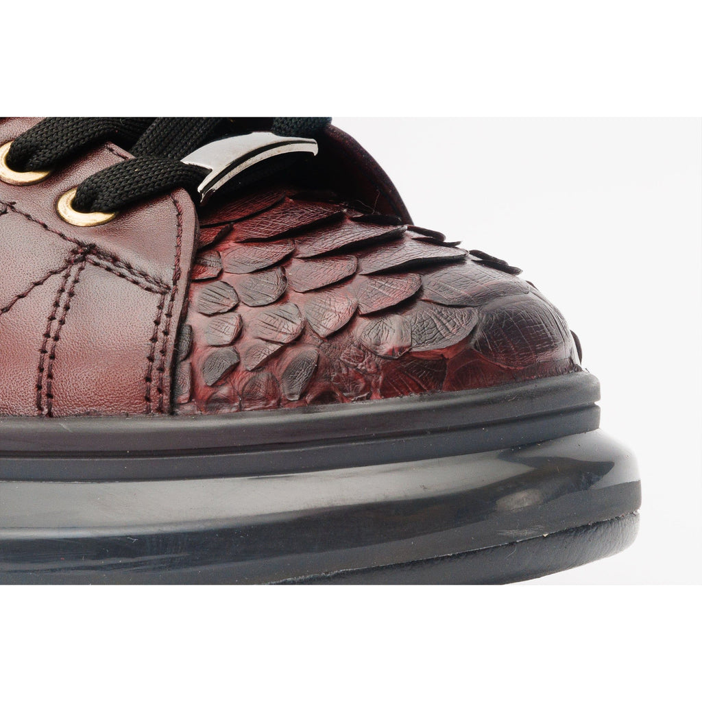 The Adler Burgundy Snake Leather Men Sneaker Limited Edition