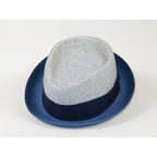 Men's Broner Summer Hat Woven Straw Style TRIPLE CROWN 84-704 Blue