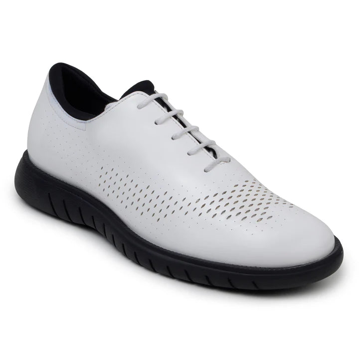 Belvedere Men's Shoes Maxim Wingtip Rich Patent Leather White Sneaker
