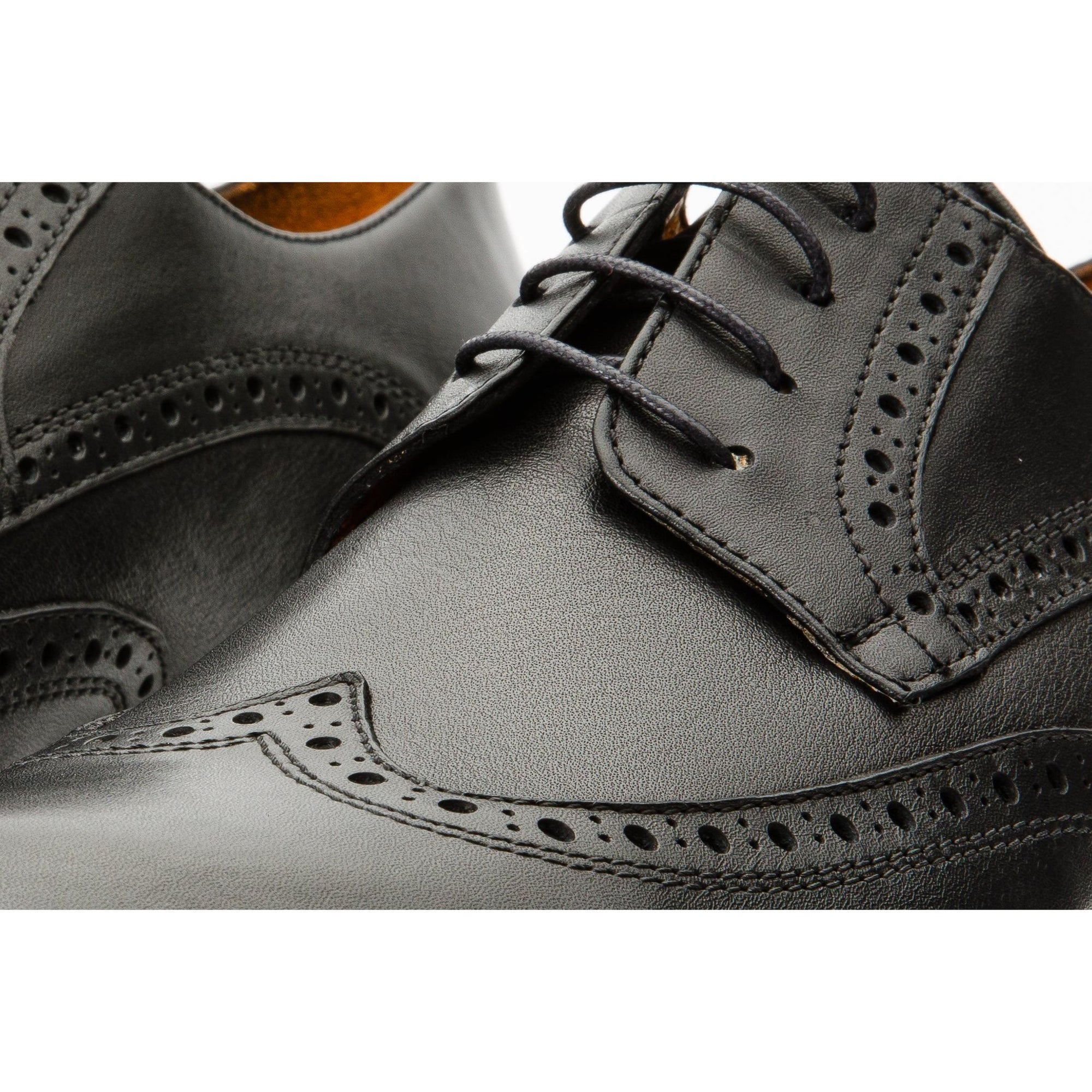 The Molise Black Wingtip Semi Brogue Derby Men  Shoe  Final Sale!