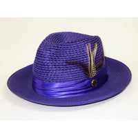 Men's Summer Spring Braid Straw style Hat by BRUNO CAPELO JULIAN JU914 Purple