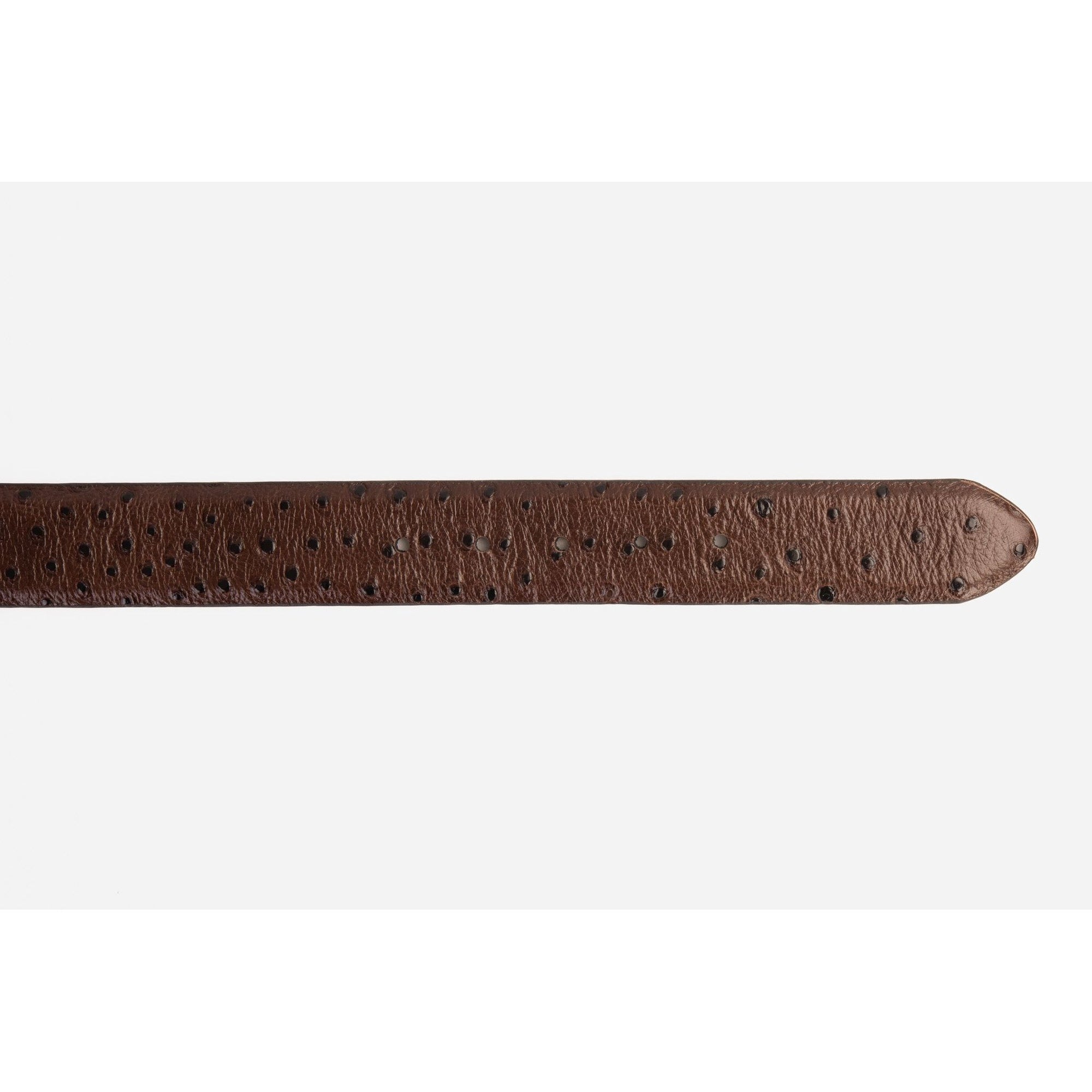 The Monterrey Brown Leather Belt