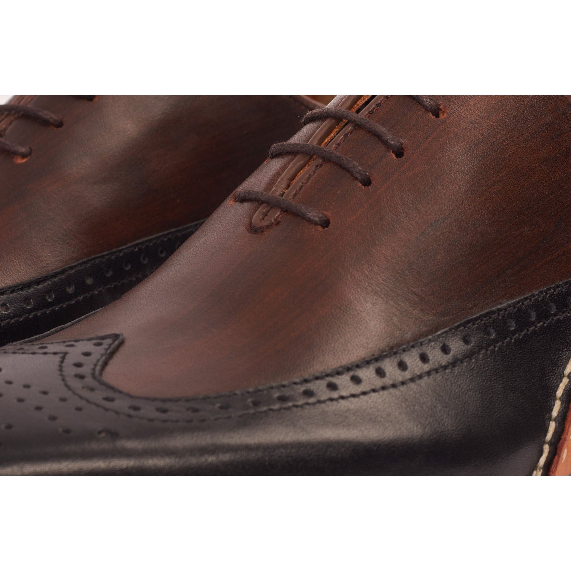 The Royal Hand Craft Black & Brown Wingtip Oxford Men Shoe