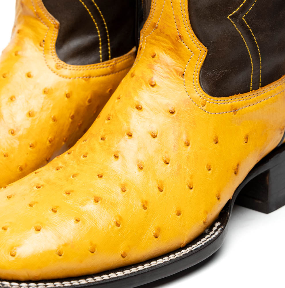 Marco Di Milano Genuine Ostrich Skin Cowboy Boot Alabama Buttercup