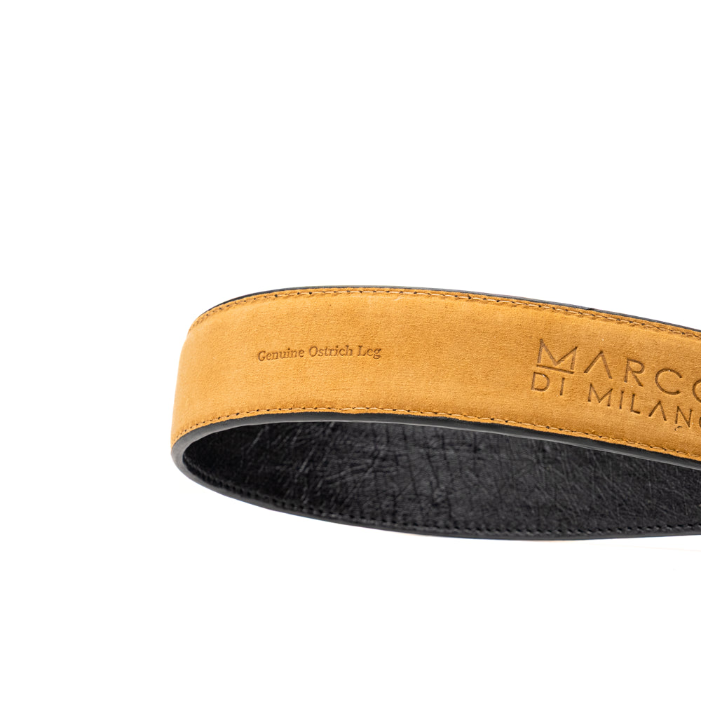 Alessio Genuine Ostrich Leg Exotic Belt Black