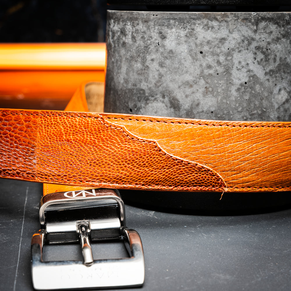 Alessio Genuine Ostrich &amp; Ostrich Leg Exotic Belt Cognac