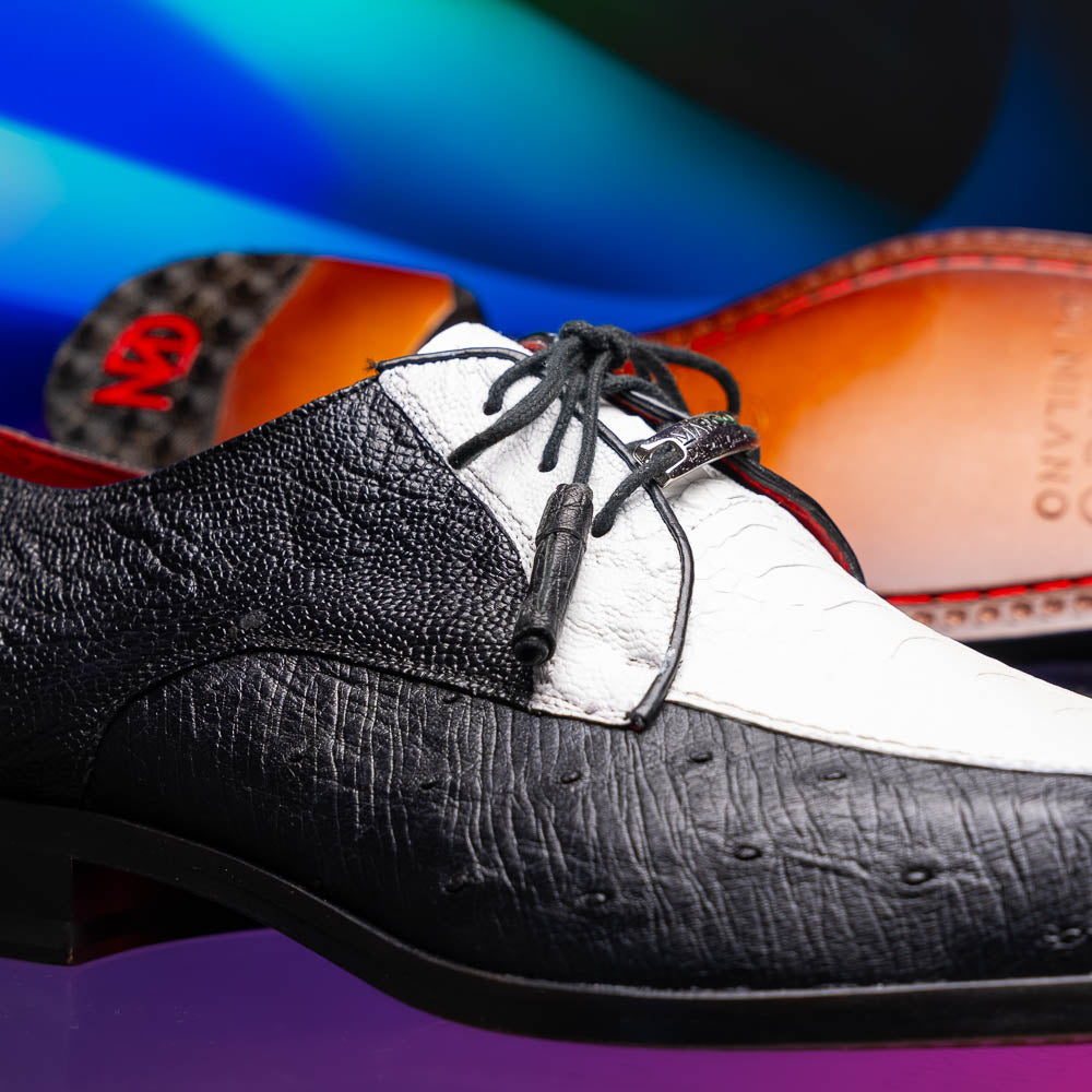 Andretti Genuine Ostrich Leg Dress Derby's Tasseled Laces Shoes White / Black