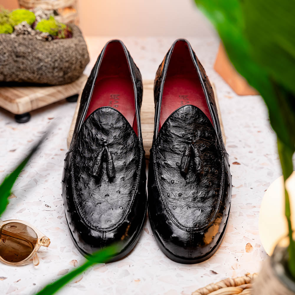 Aubiere Genuine Ostrich Quill Tassel Loafers Black