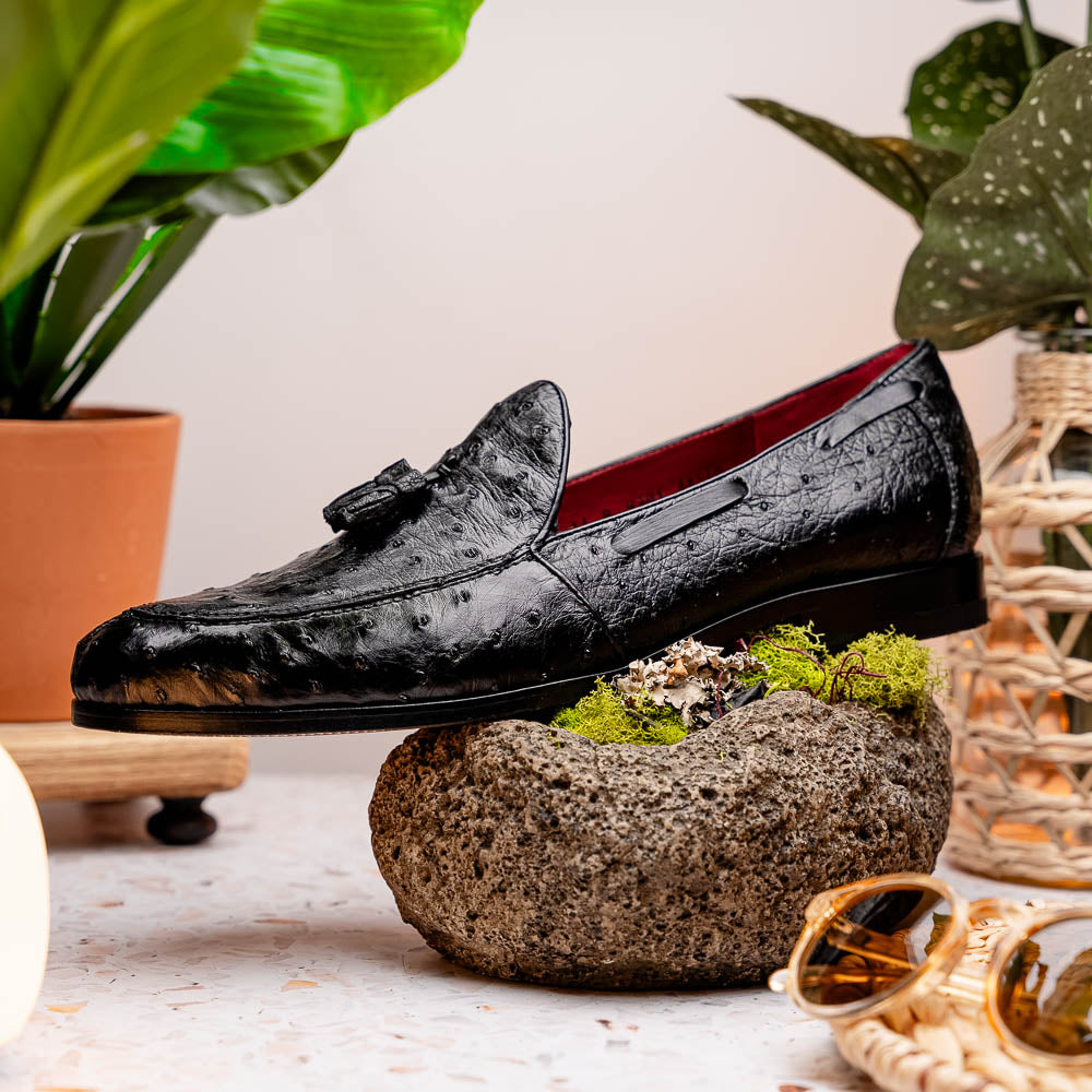 Aubiere Genuine Ostrich Quill Tassel Loafers Black