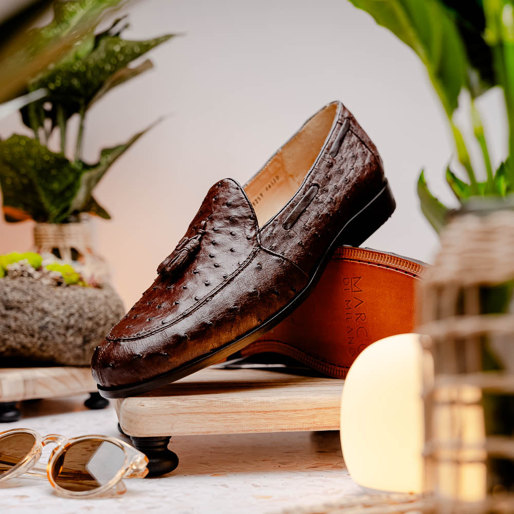 Aubiere Genuine Ostrich Quill Dress Tassel Loafers Brown