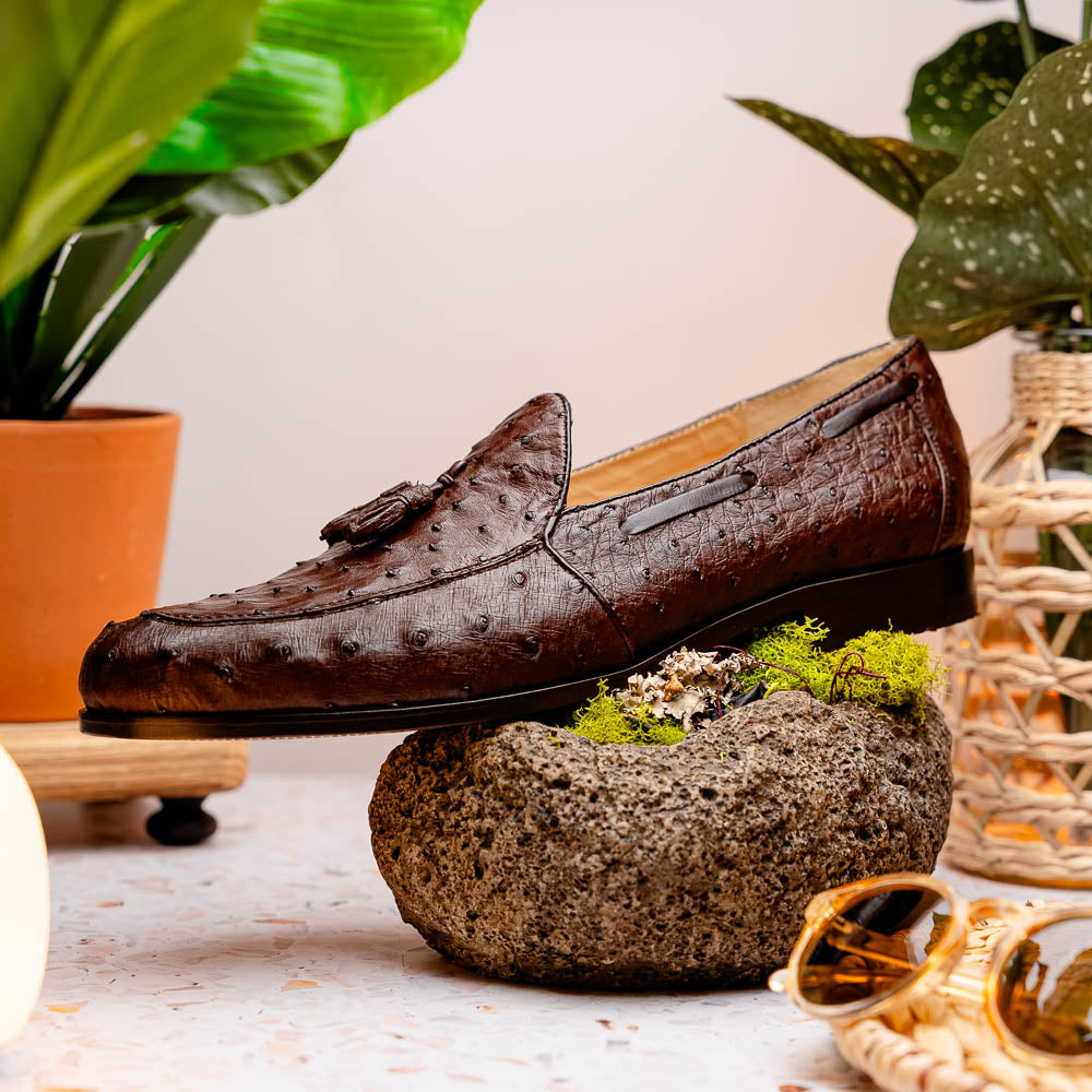 Aubiere Genuine Ostrich Quill Dress Tassel Loafers Brown