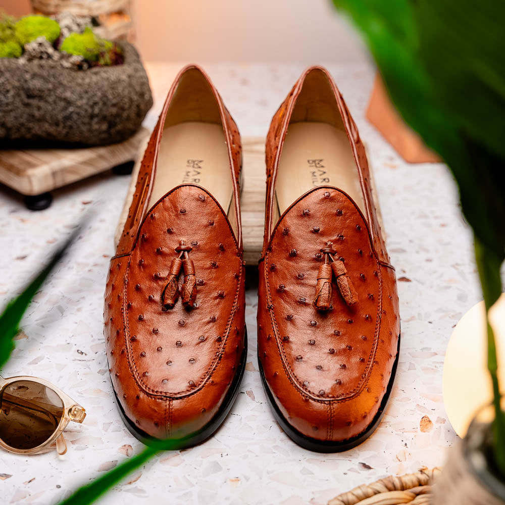 Aubiere Genuine Ostrich Quill Dress Loafer Cognac
