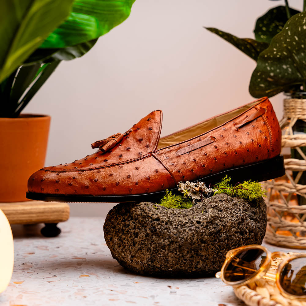 Aubiere Genuine Ostrich Quill Dress Loafer Cognac