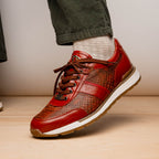 Brescia Snake And Classic Calfskin Fashion Sneaker Men's Antique Cognac