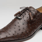 Criss Genuine Ostrich Quill Dress Shoes Oxford Brown
