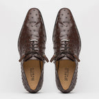 Criss Genuine Ostrich Quill Dress Shoes Oxford Brown