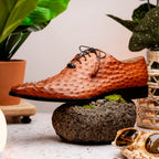 Criss  Genuine Ostrich Quill Dress Oxford Shoes Brandy
