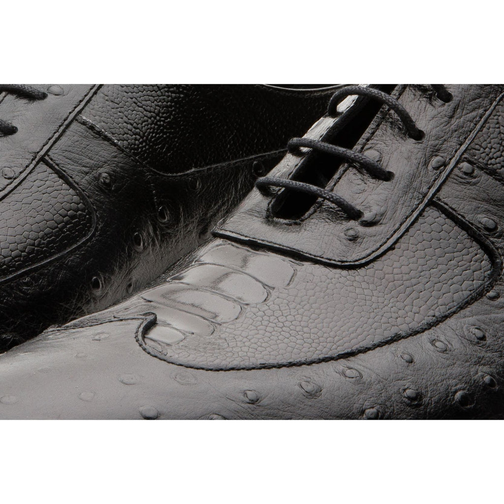 The Alabama Black Wingtip Oxford Men Shoe