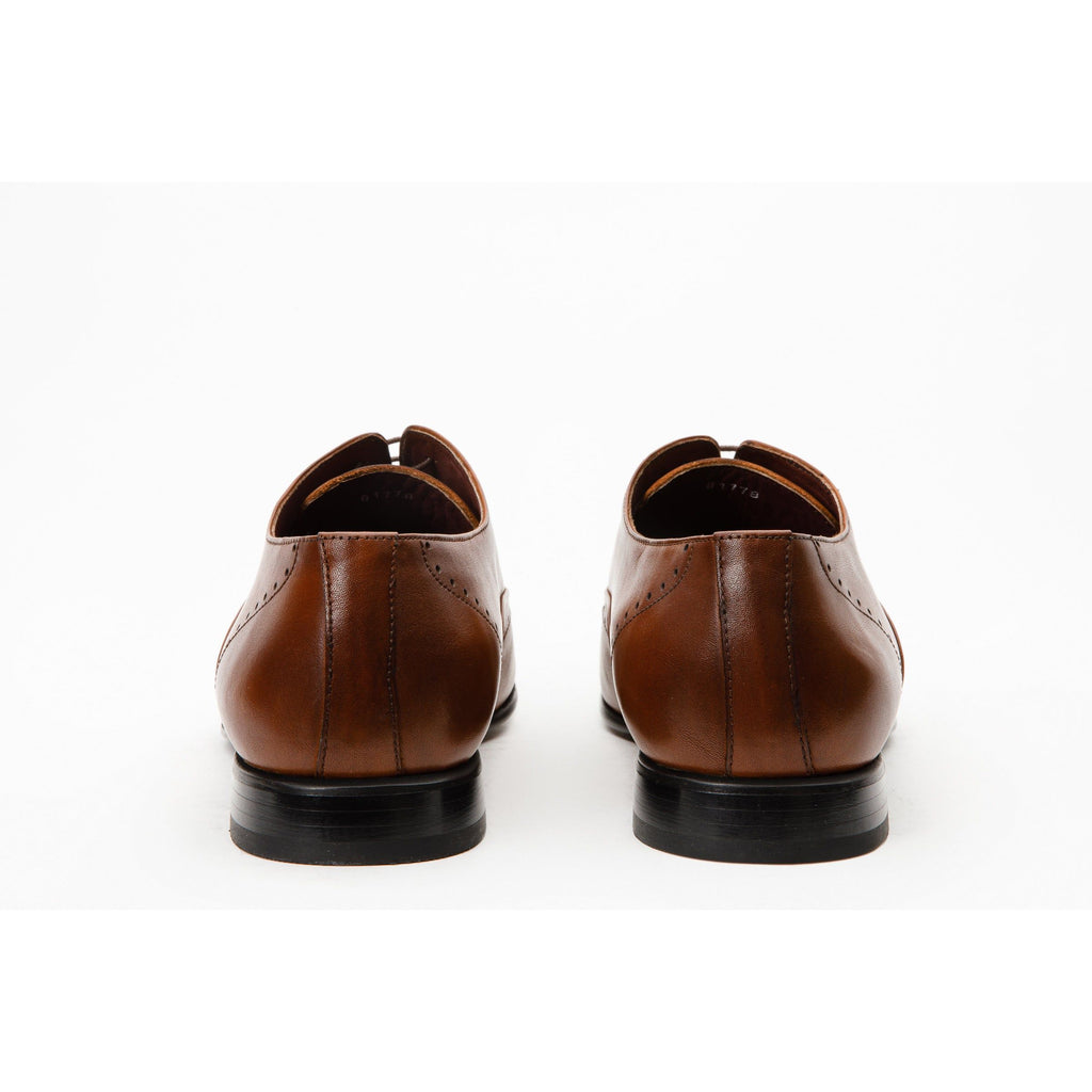 The Roma Tan Leather Wingtip Oxford Men Shoe