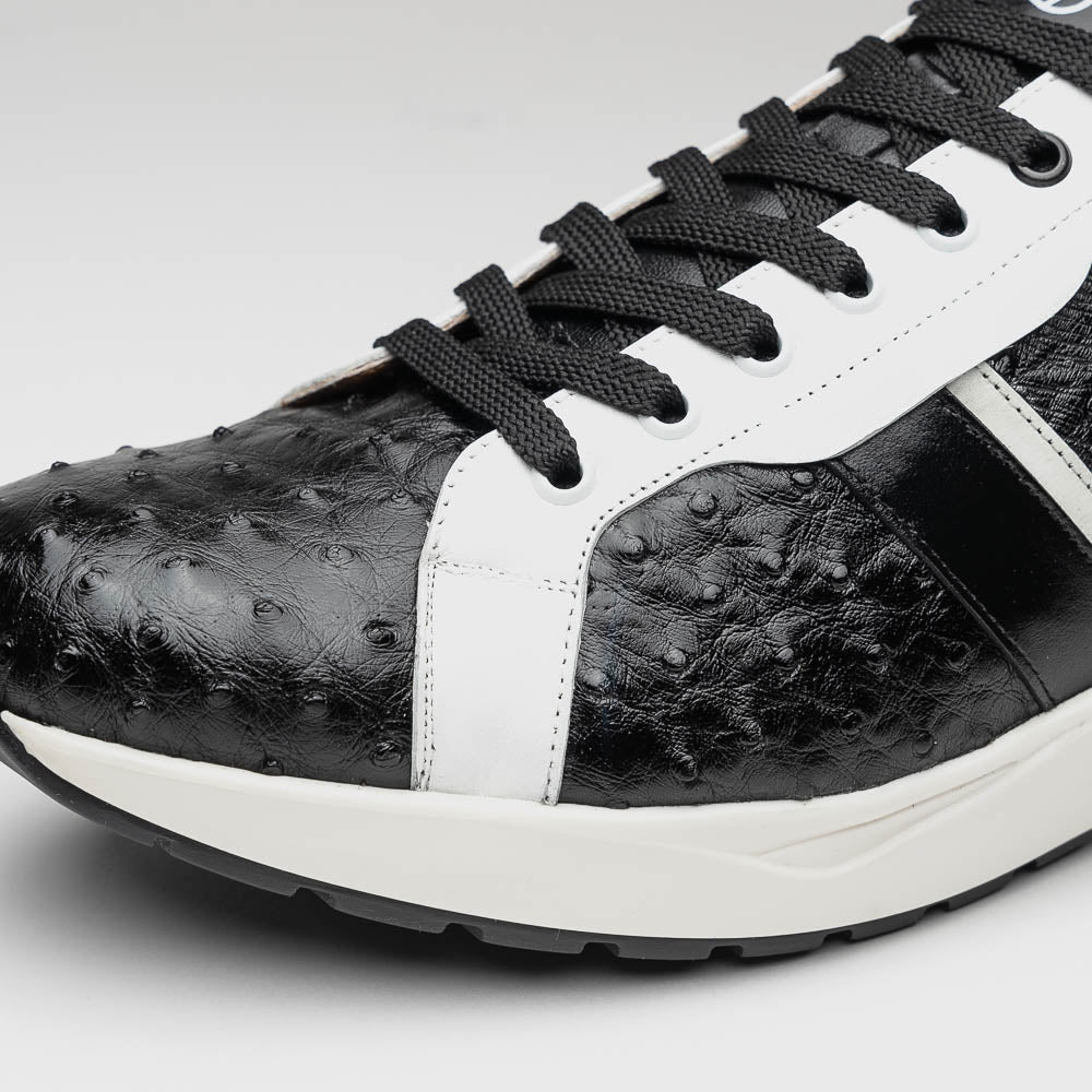 Lyon II Genuine Ostrich and Calfskin Fashion Sneaker Black / White