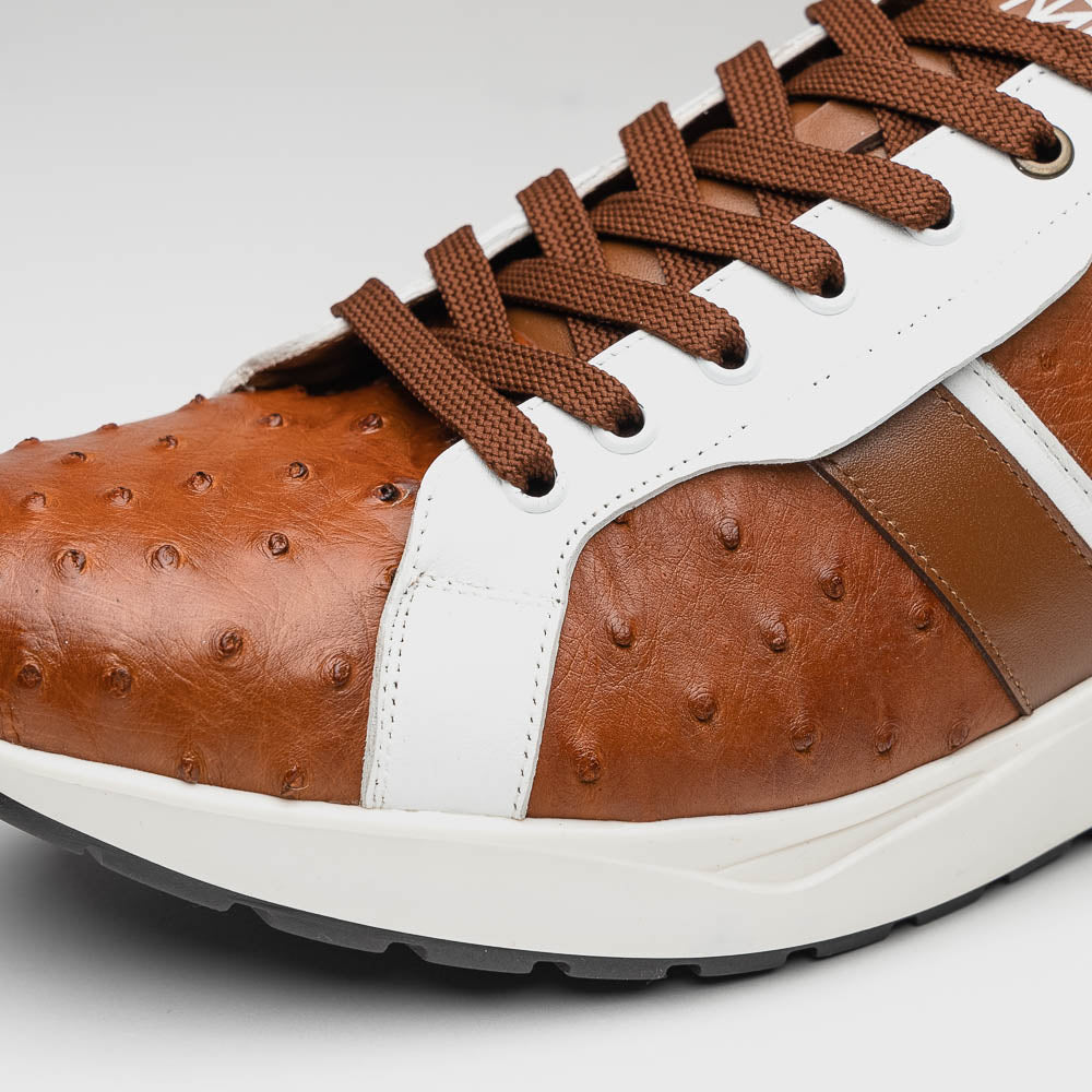Lyon II Genuine Ostrich and Calfskin Fashion Sneaker Brandy / White