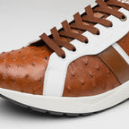 Lyon II Genuine Ostrich and Calfskin Fashion Sneaker Brandy / White