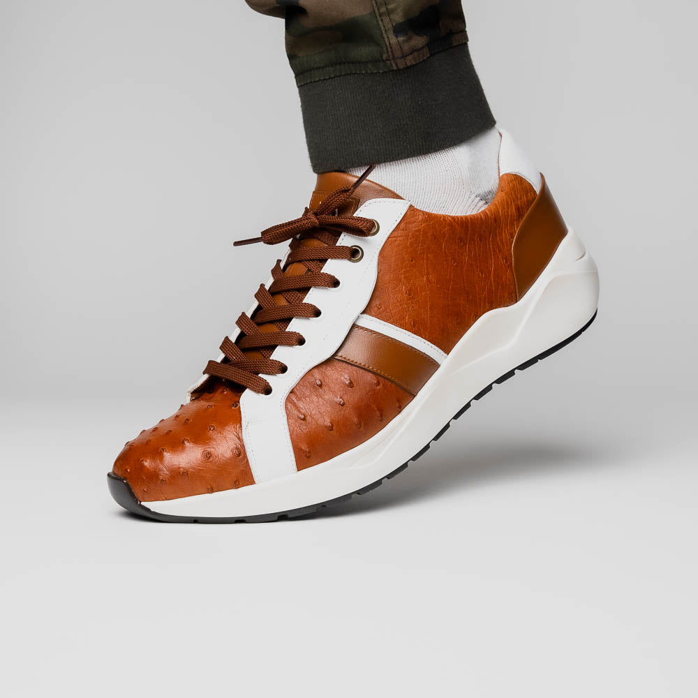 Lyon II Genuine Ostrich and Calfskin Fashion Sneaker Brandy / White