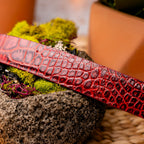 Emilio Genuine Exotic Alligator Belt Antique Red