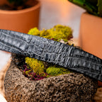 Riccardo Genuine Exotic Caiman Fuscus-belly Belt Gray