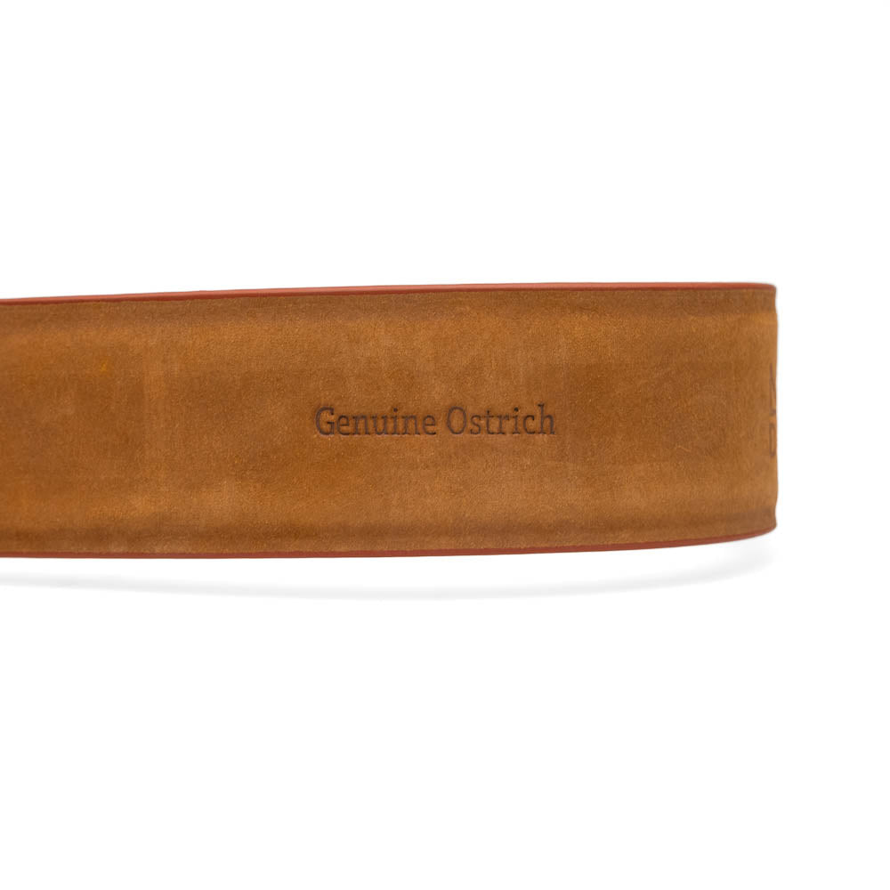 Domenico Genuine Exotic Ostrih Belt Gray