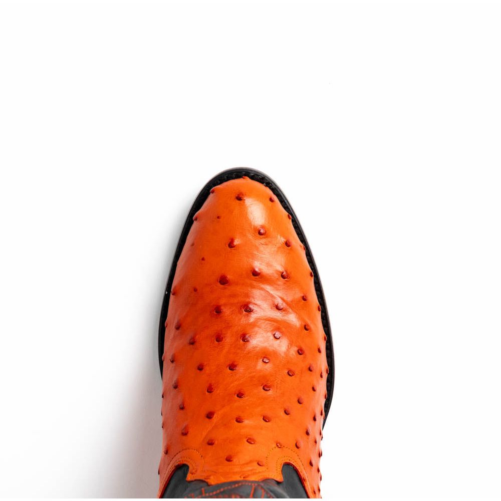 SAVANNAH  Genuine Ostrich Skin Cowboy Boot from the Western Collection Orange