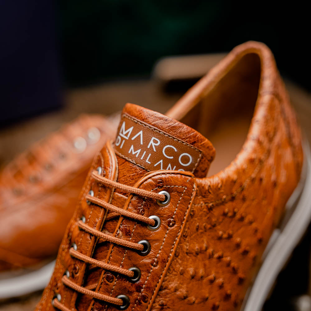 genuine ostrich quill fashion sneaker Shoes Scanno Antique Cognac